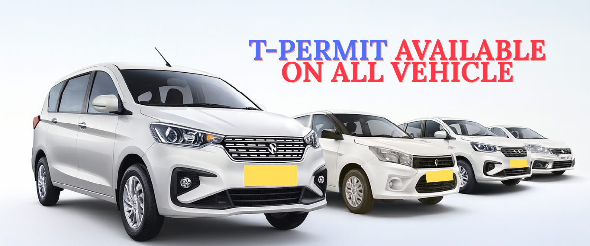 Used car for family trips